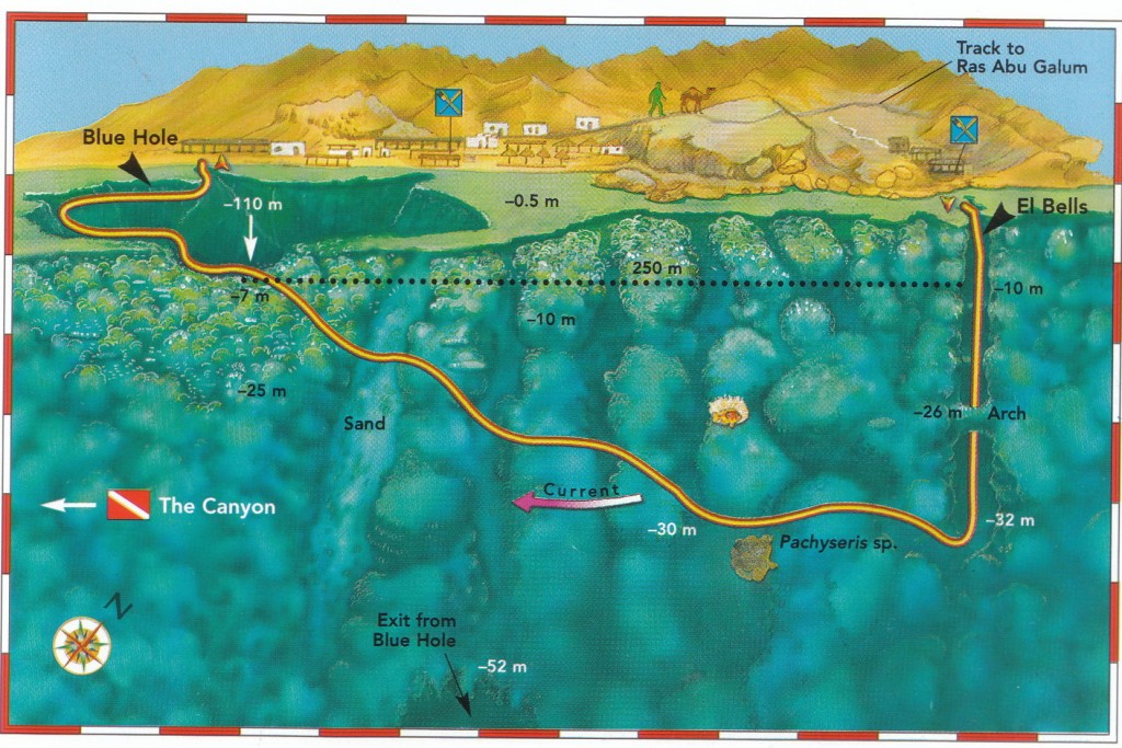 DAHAB-BLUE-HOLE-Bells